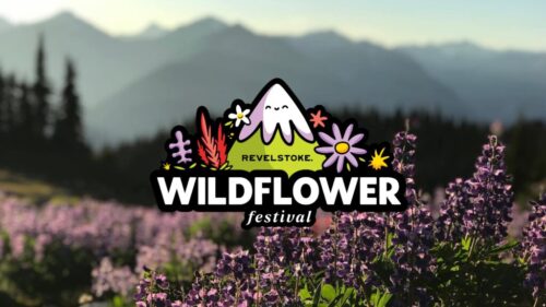 Wildflower Festival Image 2023