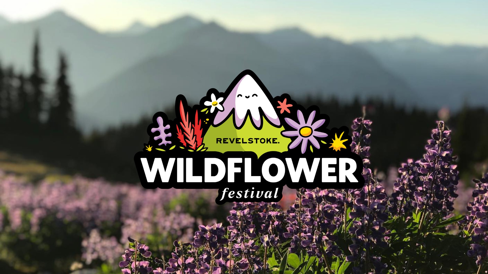 Wildflower Festival Image 2023