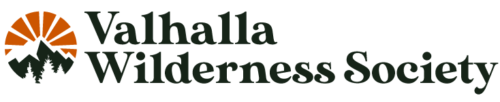 logo-4-1