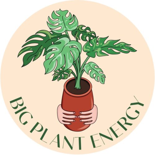 bigplantenergylogoo