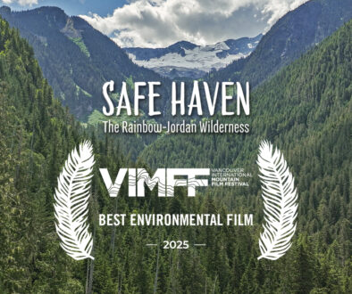 safe haven