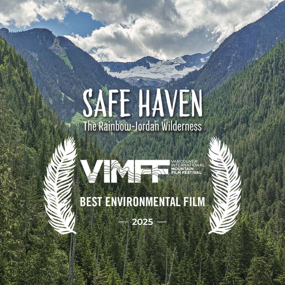 safe haven