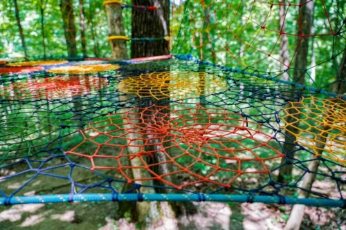 Tree Net